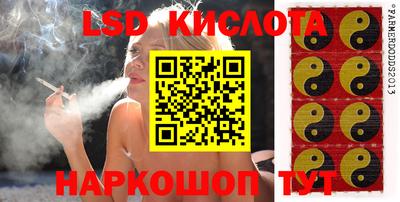 гидропоника Кулебаки