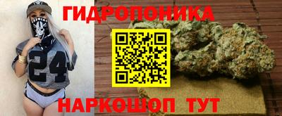 гидропоника Кулебаки
