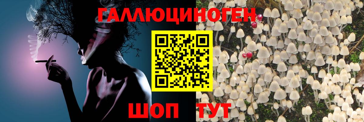 Галлюциногенные грибы GOLDEN TEACHER Ивантеевка